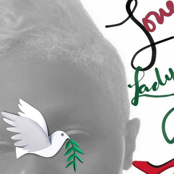 Meet your Posher, Pastor ladybug - Picture 1 of 1